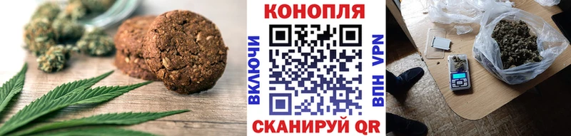 где найти   Краснознаменск  Canna-Cookies конопля 