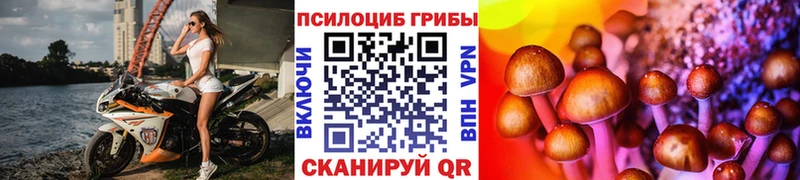 Псилоцибиновые грибы ЛСД  Краснознаменск 
