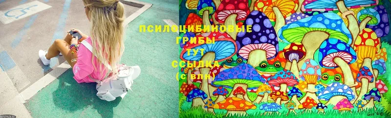 Галлюциногенные грибы MAGIC MUSHROOMS  Краснознаменск 