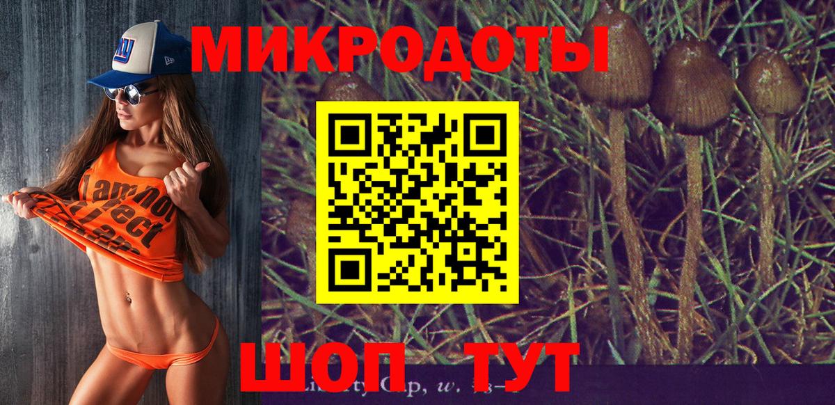 Галлюциногенные грибы мухоморы Краснознаменск