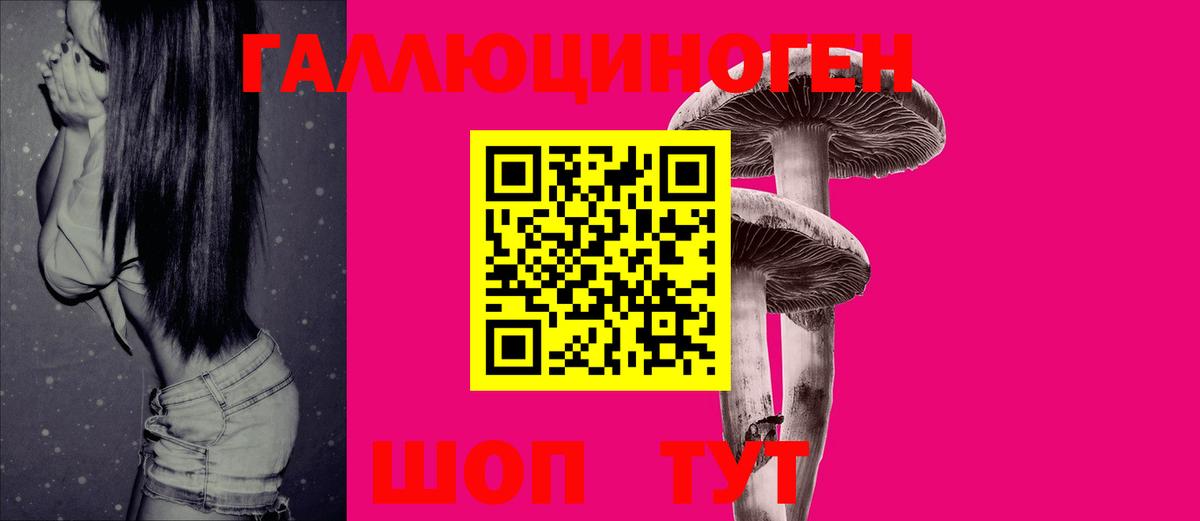 Краснознаменск  Галлюциногенные грибы MAGIC MUSHROOMS  Вход с VPN 