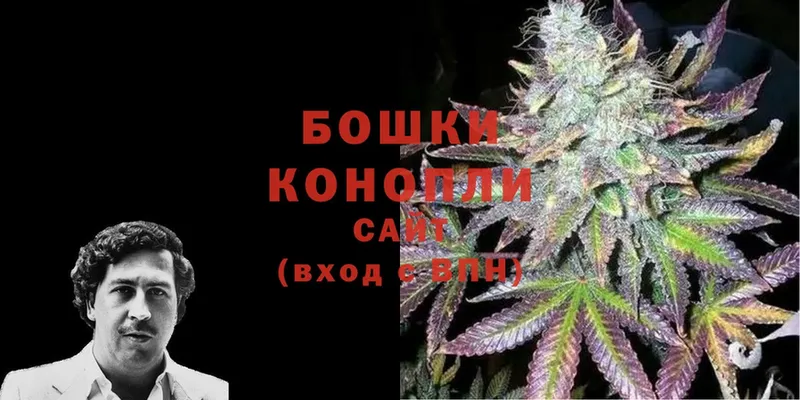 Конопля SATIVA & INDICA  купить наркотик  Краснознаменск 